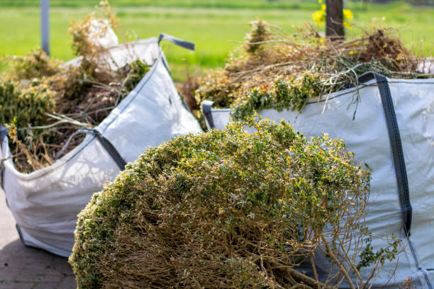 Best Shed Removal  in New York Mills, MN